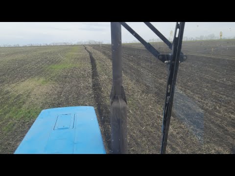 Видео: Сев яровой пшеницы 13 марта,засуха!Подкормка озимой по 200 кг