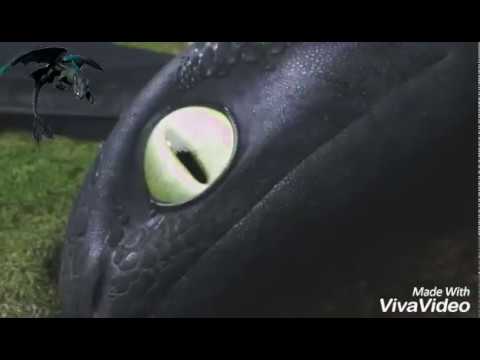 Видео: Иккинг и Беззубик "Герой"