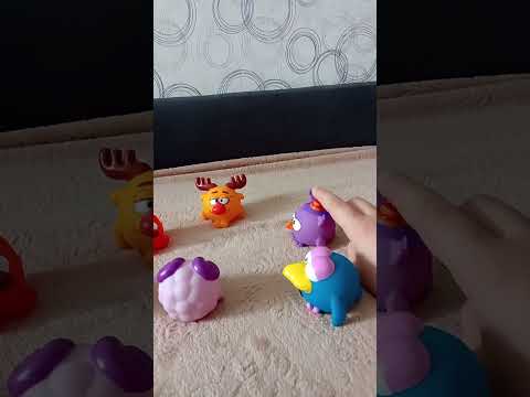 Видео: 16 октября 2025 г.