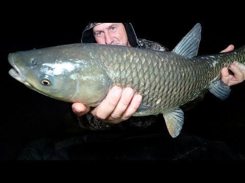 Видео: ПОЙМАЛ АМУРА В МОРОЗНУЮ МАЙСКУЮ НОЧЬ!