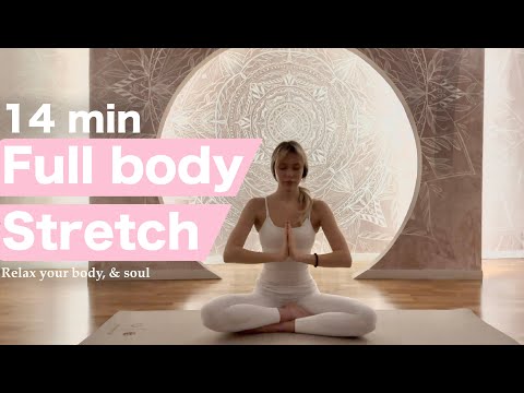 Видео: 14 MIN daily FULL BODY STRETCH 🧘🏼‍♀️| Мягкая растяжка на все тело