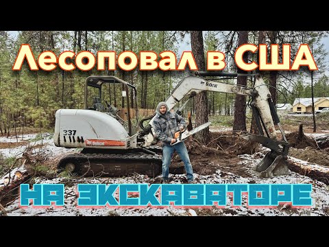 Видео: Валим лес в США!!! На экскаваторе!!!
