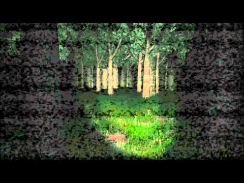 Видео: Slender попытка пройти #2