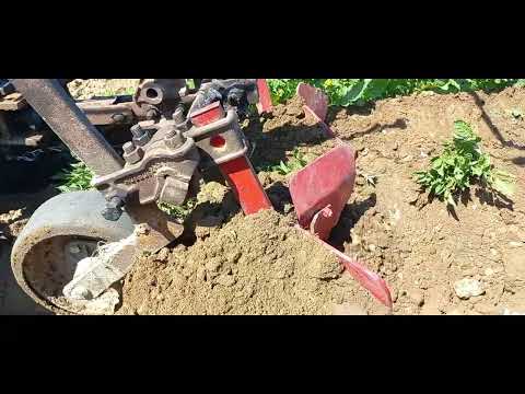 Видео: Огляд городу станом на 16 06 2025. Підгортання картоплі 2