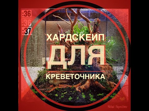 Видео: Хардскейп для креветочника. aquscape