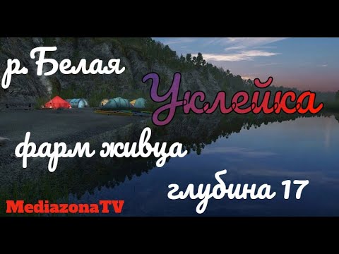 Видео: Русская Рыбалка 4 Где Клюет  р Белая Уклейка 12.02.23