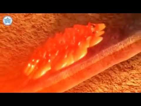 Видео: Дэлхийн соронзон орон