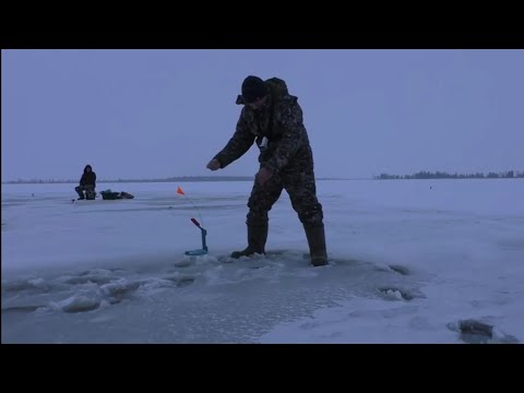 Видео: Ловим щук на жерлицы рядом с промоиной!! Да еще и провалились под лед!!!