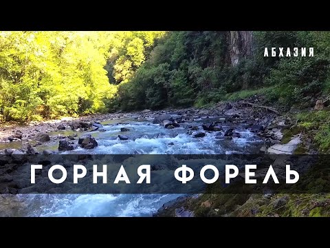 Видео: Горная форель. Абхазия. Сухум