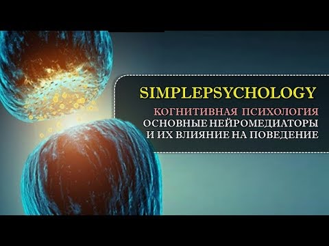 Видео: Когнитивная психология #15. Основные нейромедиаторы и их влияние на наше поведение.