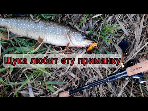 Видео: Ловля щуки на спиннинг в конце мая. Bixod N air и Duo Realis popper.