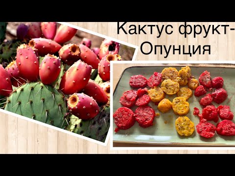 Видео: Кактусовый фрукт Опунция - как правильно чистить 🌵 Kaktusfrucht Parce - wie man richtig Schellen muß