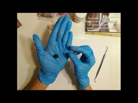 Видео: МК Корги. Урок 11.1 Лепка носика.