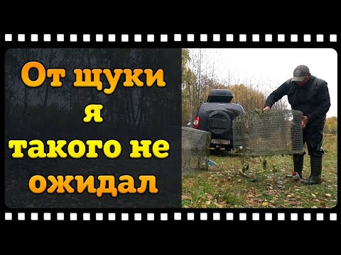 Видео: Ловля щуки Финскими Катисками. Жена в шоке от такого улова!
