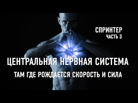 Видео: ГЛАВНЫЙ СЕКРЕТ ЧЕМПИОНОВ - ЦЕНТРАЛЬНАЯ НЕРВНАЯ СИСТЕМА