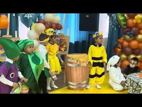 Видео: 5 ноября 2025 г.