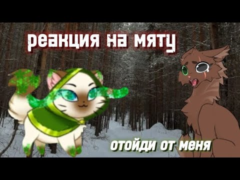 Видео: Реакция на мяту||