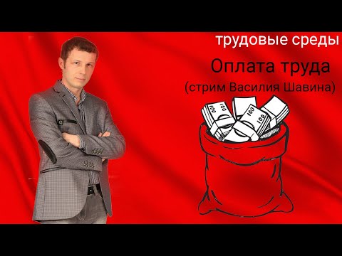 Видео: Оплата труда (стрим Василия Шавина)