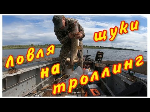 Видео: ЛОВЛЯ ЩУКИ НА ТРОЛЛИНГ ... р. Волга