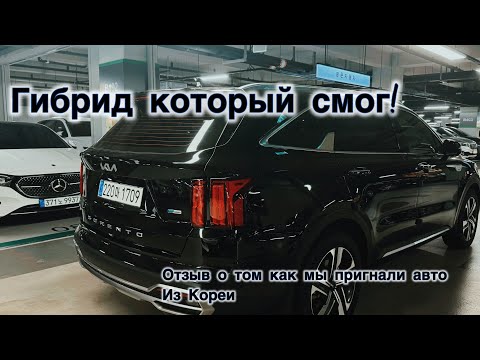 Видео: Sorento 1.6 Hybrid из Кореи: идеальный семейный SUV. От подбора до отзыва владельца