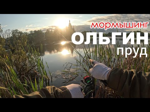 Видео: Мормышинг: Ольгин пруд | Рыбалка Ранним Утром #мормышинг #рыбалка #стритфишинг #nanojig #пруд