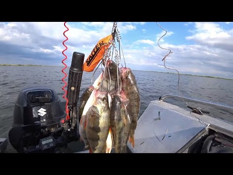 Видео: Рыбалка на Веселовском водохранилище. Жадный окунь. Сентябрь 2021. Одинокий репортаж с воды.