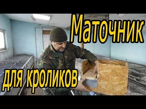 Видео: Маточник для кроликов. ( виды маточников).