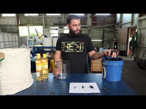 Видео: Корейское натуральное земледелие: как это сделать: WCAP