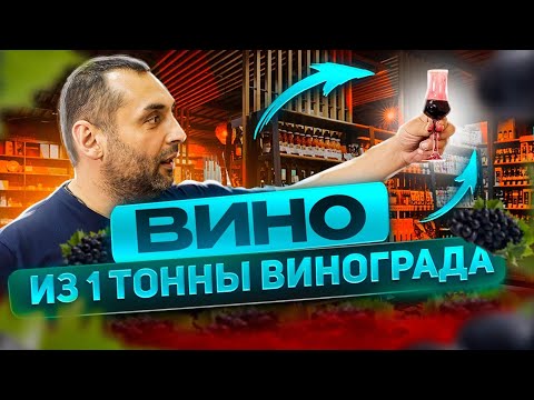 Видео: ВИНО из 1 тонны винограда (часть 2)