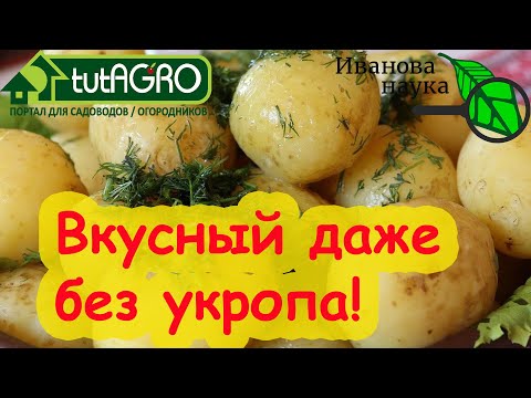 Видео: КАРТОФЕЛЬ от А до Я! Секреты раннего, здорового и вкусного картофеля.
