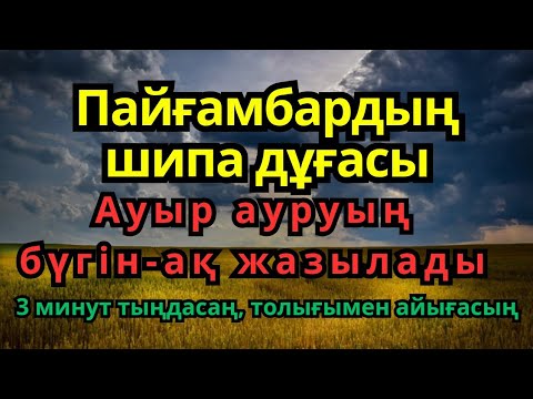 Видео: Пайғамбар дұғасы — 3 минутта шипа!