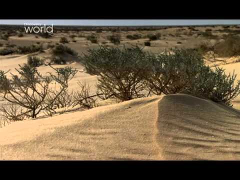 Видео: Эль Аламейн 1942 (Танки Panzer III,Panzer AustF2,M3Grant,M4A1Sherman,MarkVI Crusader)