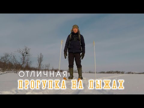 Видео: Прогулка на лыжах | Чаепитие в кунге | Разведка ещё одного кунга