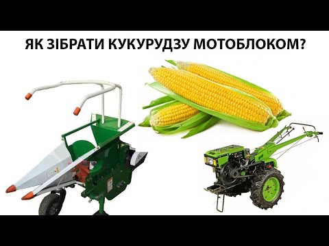 Видео: Кукурудзяний комбайн до важкого дизельного мотоблока  Огляд в роботі