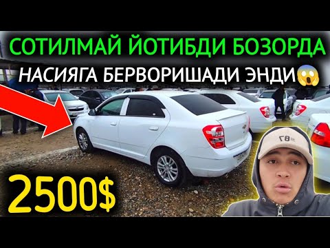 Видео: 7-НОЯБР КОБИЛТ НАРХЛАРИ 2024.ХОР БОЛМОКДА СОТИЛМАЙ 2500$😱КОБИЛТЛАР СИНЯПДИ.ФАРГОНА МОШИНА БОЗОР 2024