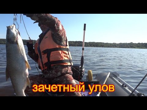 Видео: Верхняя Волга - рыбалка на большом водоеме.  Щука и жерех зачетный улов.