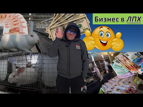 Видео: Бизнес в ЛПХ. Как подготовить себя к продаже крольчатины. Business in LPH   How to prepare yourself.