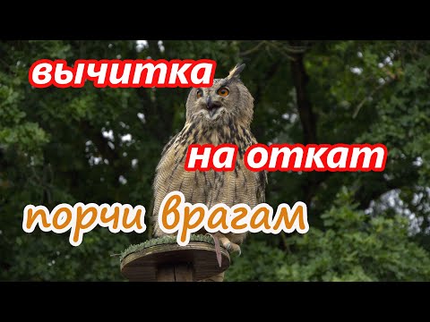 Видео: Вычитка на откат порчи врагам🎯