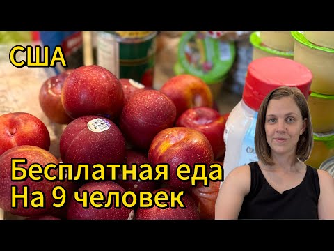 Видео: США/ Бесплатная еда/ Жизнь многодетной семьи 