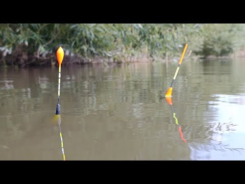 Видео: КРУПНА РИБА РВЕ СНАСТЬ! СТАВ ПІД ВЕРБОЮ І ПОЧАВ ТЯГАТИ! РИБАЛКА НА ПОПЛАВОК В СПЕКОТНЕ ЛІТО!
