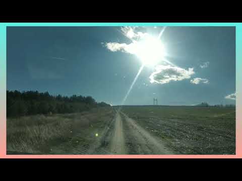 Видео: Сосновый бор. Наши находки 1 ноября 2025 года.