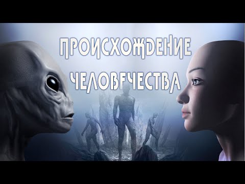 Видео: Врач физиолог: Человек - игрушка Богов или Мы не с этой планеты