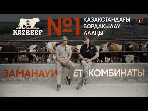Видео: KAZBEEF \ ЖЫЛЫНА 30 МЫҢ БАС МАЛ АЙНАЛЫМЫ БАР КОМПАНИЯНЫҢ ҚҰПИЯСЫ\ МАЛ СЕМІРТУ ТӘСІЛДЕРІ