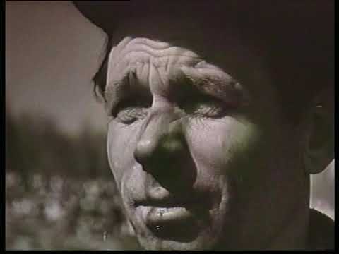 Видео: Киножурнал Советская Карелия 1965 Май