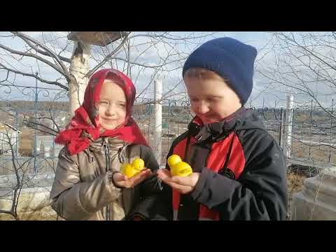 Видео: ПАСХАЛЬНОЕ ПОЗДРАВЛЕНИЕ. Воскресная школа "Благовест".г. СЕВЕРОУРАЛЬСК. Храм Св. Апп. Петра и Павла