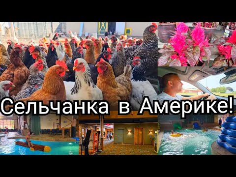 Видео: ВРЕМЯ РАБОТАТЬ 🍑 И ВРЕМЯ ОТДЫХАТЬ!!! МЫ УЕХАЛИ! СЕЛЬЧАНКА В АМЕРИКЕ!