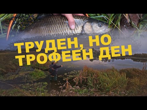 Видео: Спининг Риболов на Кефал и Костур от Три Езера / Fishing Chub and Perch on Three Lakes