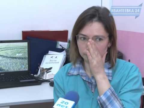 Видео: Ветеринар о профилактике бешенства: как распознать, что делать и куда идти