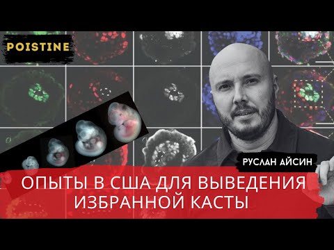 Видео: ГЕНЕТИЧЕСКАЯ КАСТА ИЗБРАННЫХ. ОПЫТЫ НАД ДЕТЬМИ В США / АЙСИН / POISTINE