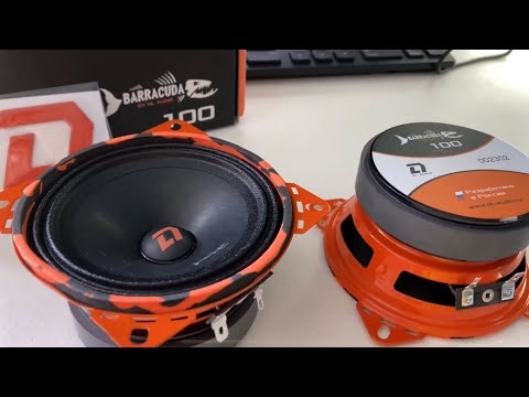 Видео: BARRACUDA 100 малыши которые МОГУТ